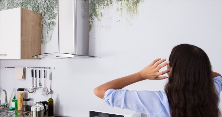 A person observing mold growth on the wall above the kitchen counter.