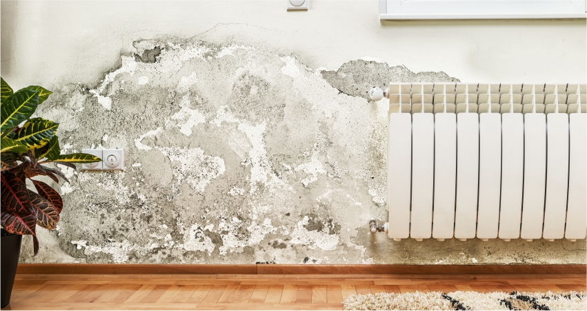 A mold-infested wall next to a heating radiator with visible damage and peeling paint.