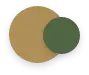 Light Brown And Green