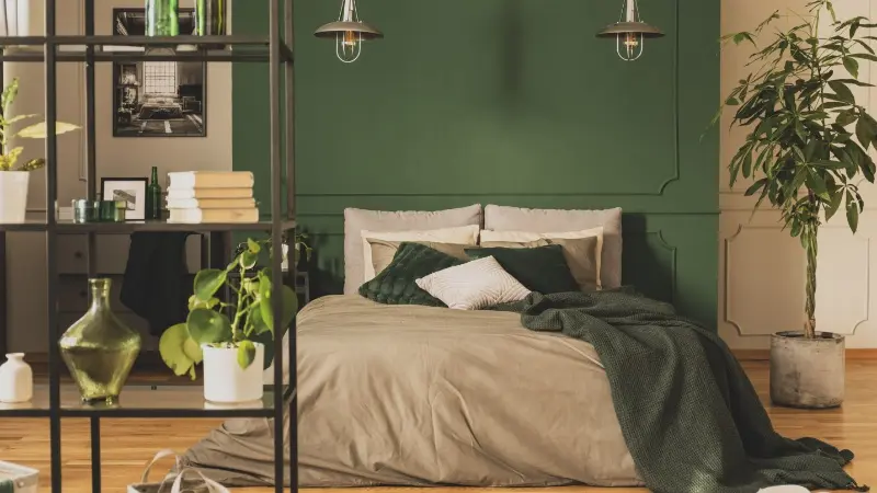 Light Brown And Green colour combination for bedroom wall