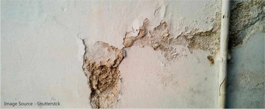 Check for Water Seepage in wall