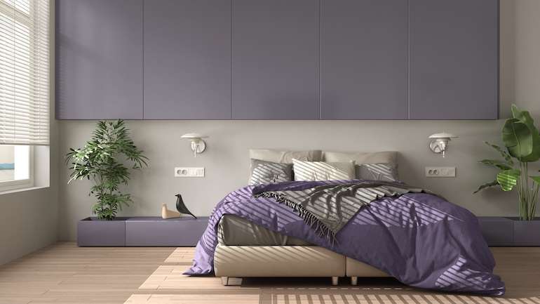 Purple and Green Colour Combination