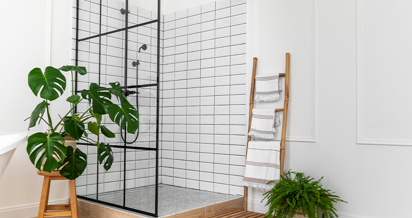 A black and white bathroom with a plant and a shower.