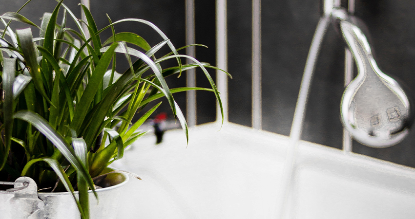 A plant in a white pot in a bathroom.