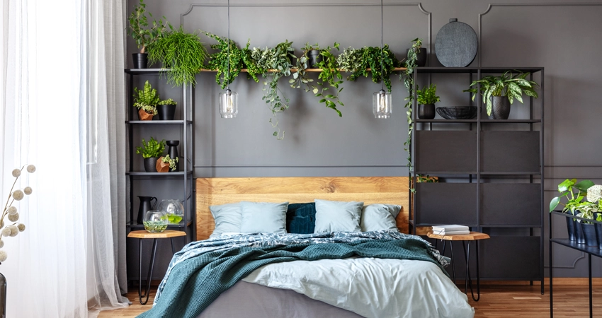 nature inspired back wall