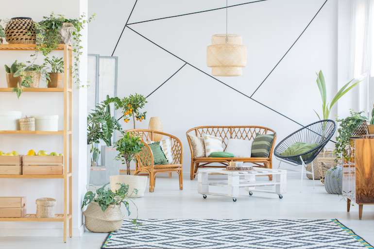 Patterned White Wall with Green Plants and Wooden Furniture