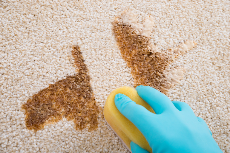 Carpeted Floors