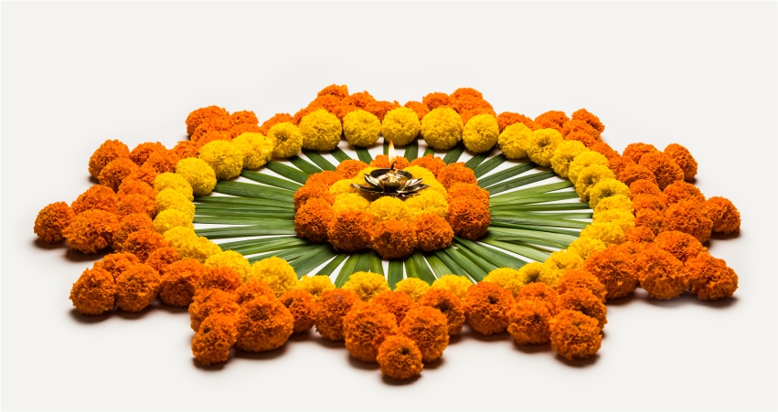 auspicious beauty of marigold flowers