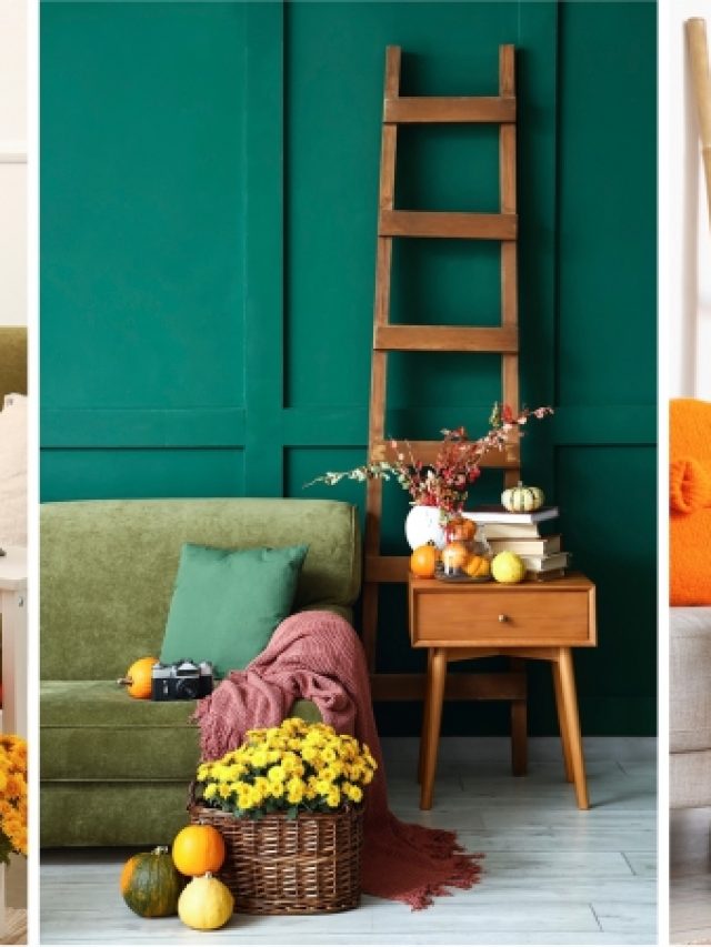 Top Decor Ideas to Explore This Fall