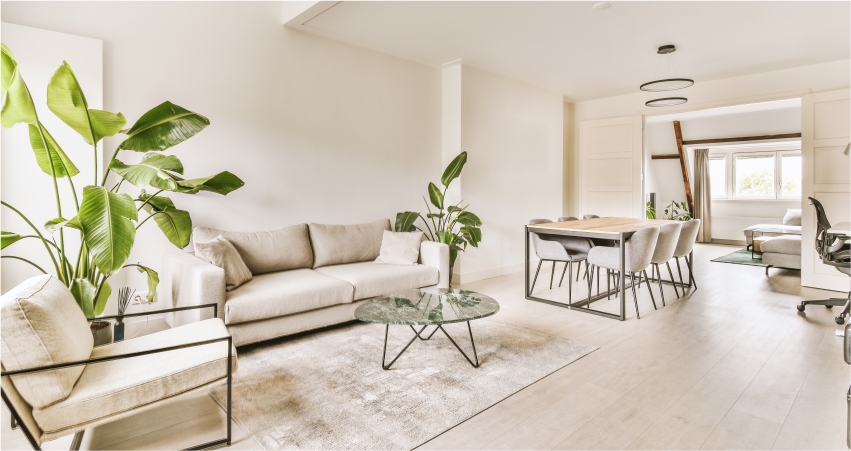 A living room with white furniture and a plant.