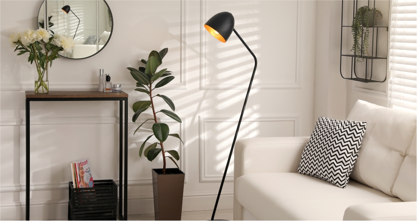 A living room with a white couch and a black floor lamp.