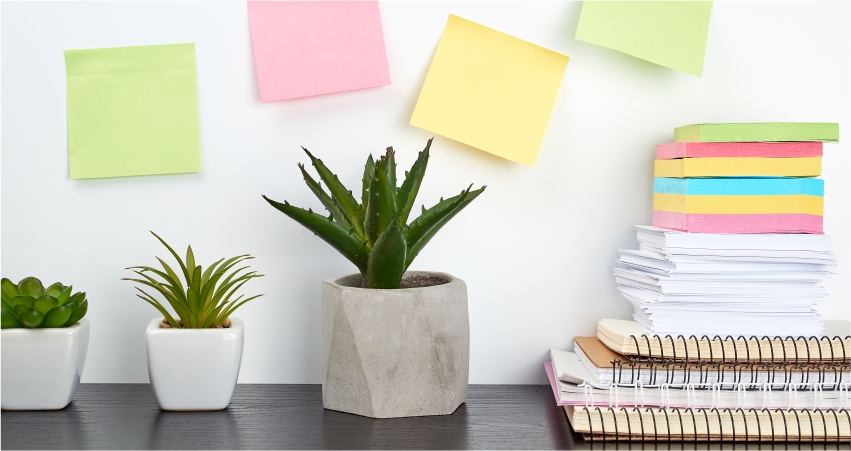 A desk with sticky notes, plants, and a potted plant.