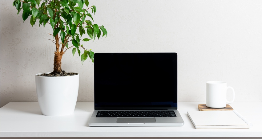 A laptop on a study desk next to a potted plant.