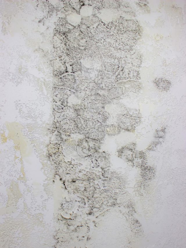 5 Effective Ways for Monsoon Wall Protection