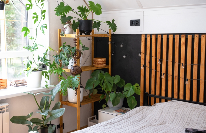 Vastu-Compliant Plants for Bedroom