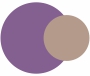 Beige and Purple colour combination