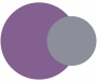 Grey and Purple