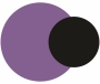 Purple and Black Colour combination