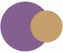 Purple and Gold colour combination
