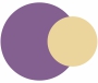 Purple and Yellow colour combination