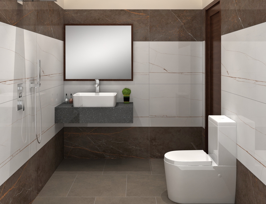 Luxurious Master Bathroom Design