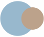 Blue and Brown Study Room Colours