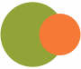Bright Green And Orange colour combination