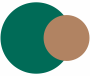 Cedar Green and Coffee Colour Combination For Study Room
