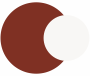 Dark brown and Off-White Study Room Colour