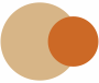 Gamboge Orange With Beige/Light Beige
