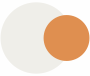 Shades Of White And Orange colour combination