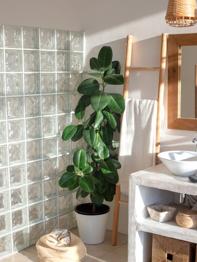 9 Boho-Inspired Bathroom Ideas