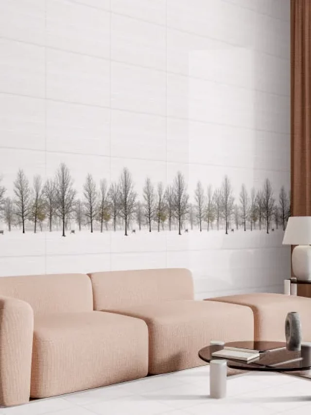 Pros and Cons of Using Ceramic Tiles for Homes