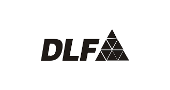 DFL Logo
